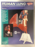 Skilcraft 71340 Human Lung Anatomically Accurate Model Kit Factory Sealed NIB