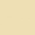 Mission Models MMP-070 Acrylic Model Paint 1 oz bottle, Radome Tan FS 33613