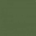Mission Models MMP-029 Russian Dark Olive 2 FS 34096