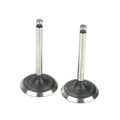 Saito Engines 220A46 Valve (In & Out)Pair:AD,AE