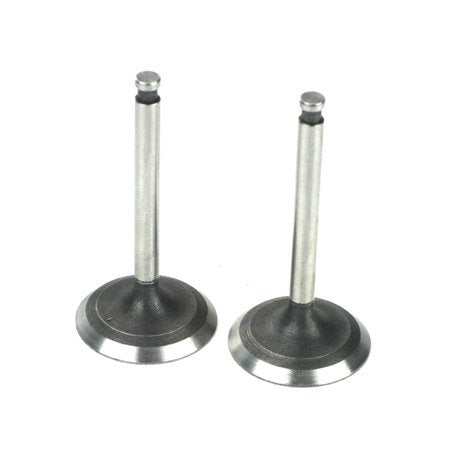 Saito Engines 220A46 Valve (In & Out)Pair:AD,AE