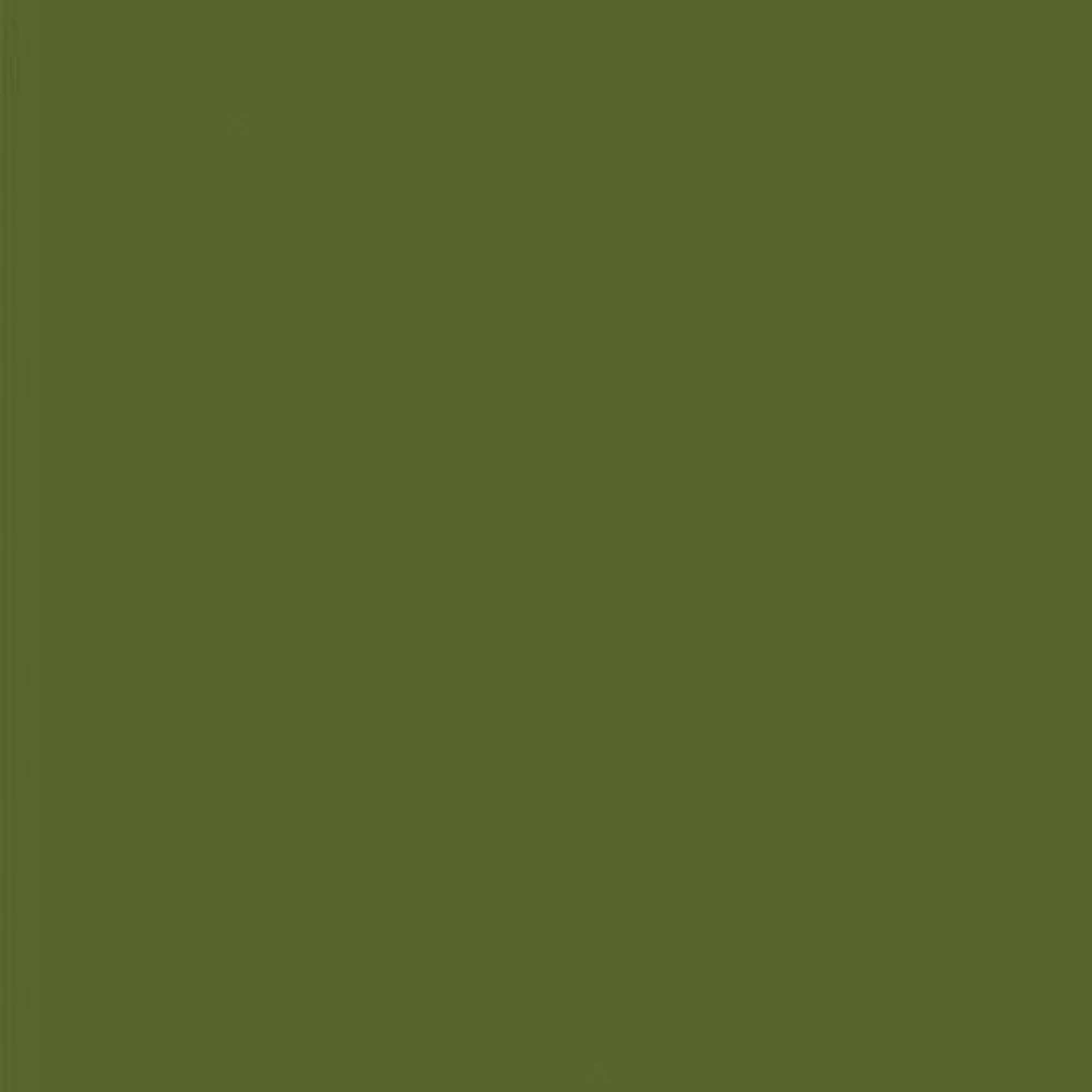 Mission Models MMP-009 Olivegrun RAL 6003