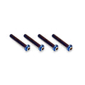 J Concepts 51421 3x20mm Top Hat Titanium Screw, Burnt Blue, 4pc