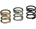 Hot Racing TTDR12AP148 Rear Suspension Spring Set. S M H