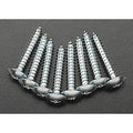 Great Planes GPMQ3170 #8 X 1" Phillips Head Sheet Metal Screws (8)
