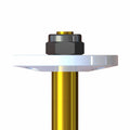 Tekno RC 6181 Shock Piston 1.3/1.6, 2pcs