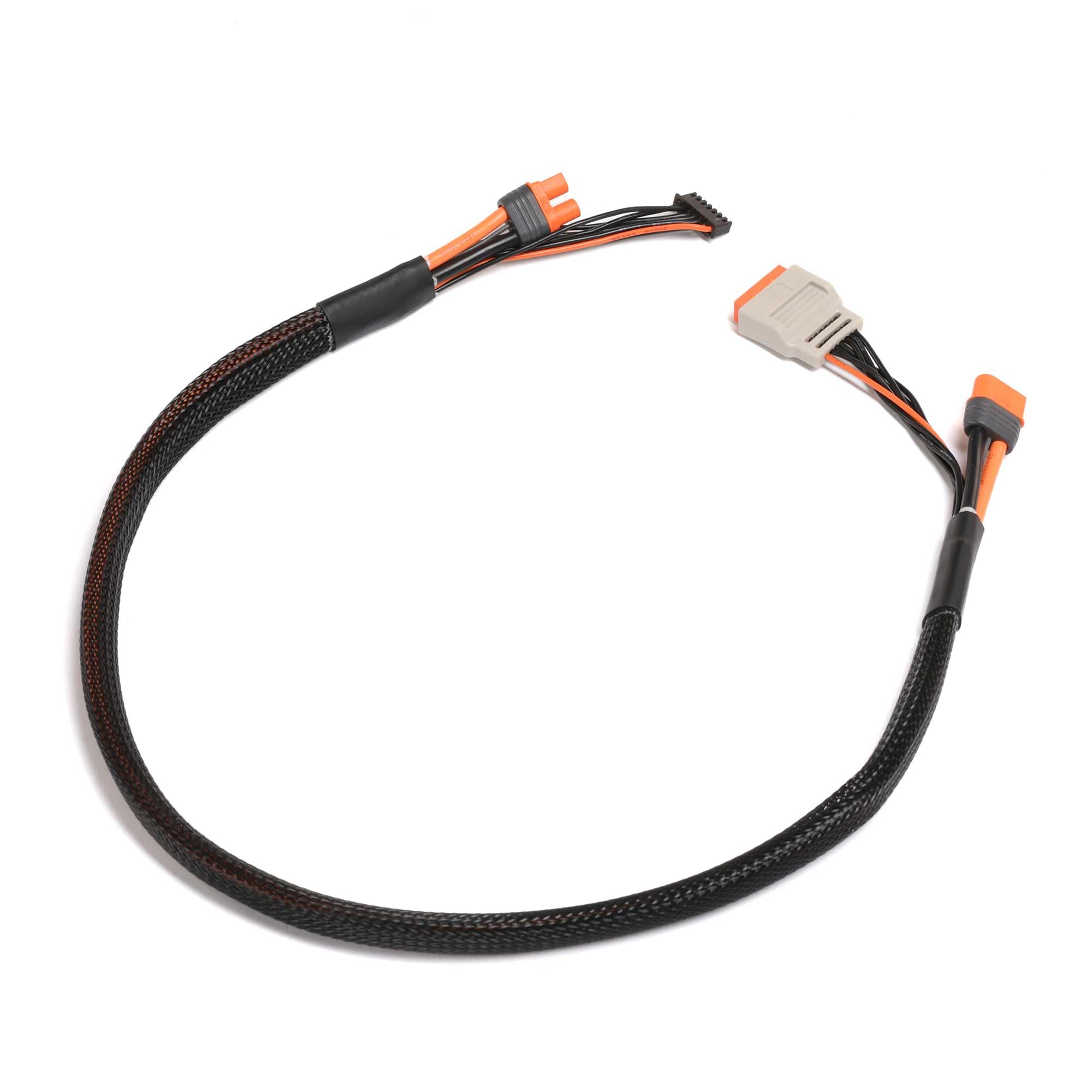 Spektrum SPMX-1011 Charge lead w/Bal Ext. 24 inch IC3, 2 ? 6S