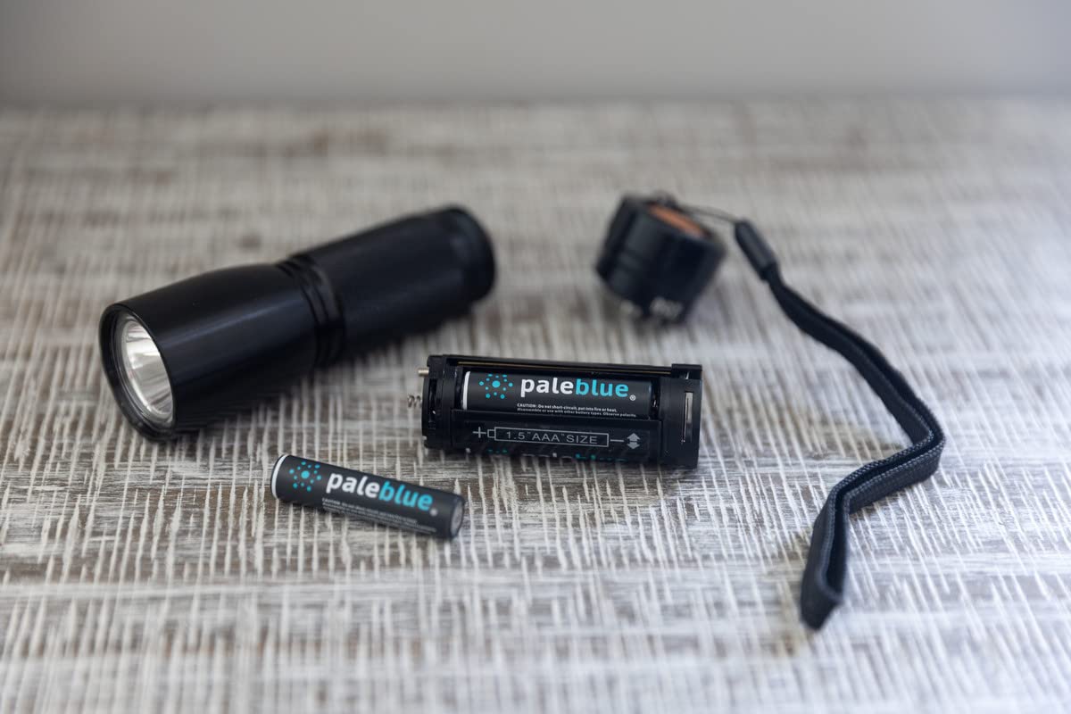 Pale Blue Earth PBAAC Pale Blue Lithium Ion Rechargeable AA Batteries 4pk