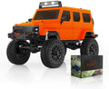 Panda Hobby 2402OR 1/24 Tetra24 X3 Portal Edition RTR Scale Mini Crawler, Orange