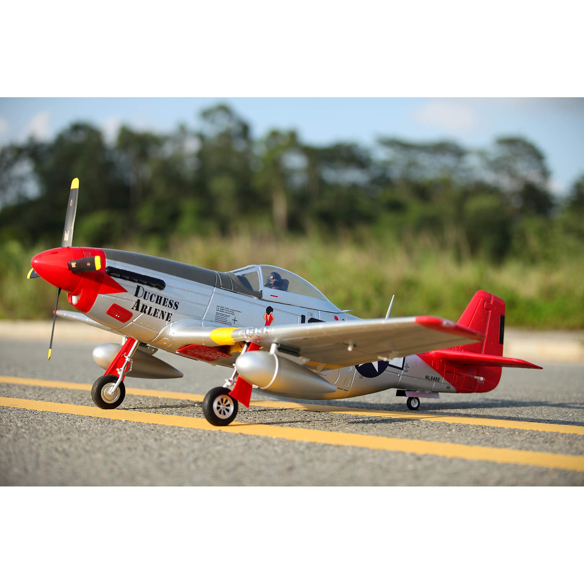 FMS FMM008PRT P-51D Mustang v.8 1400mm PNP