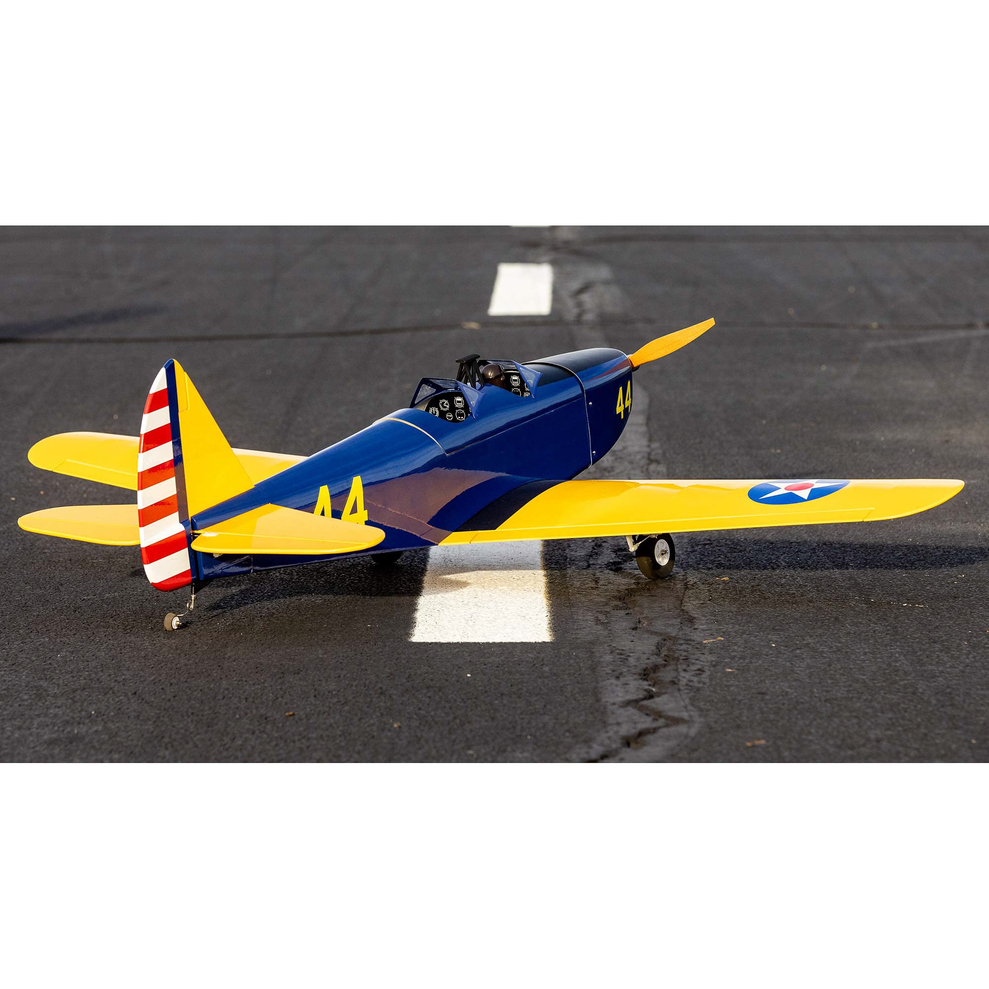 Hangar-9 3180 Hangar 9 Fun Scale PT-19 PNP