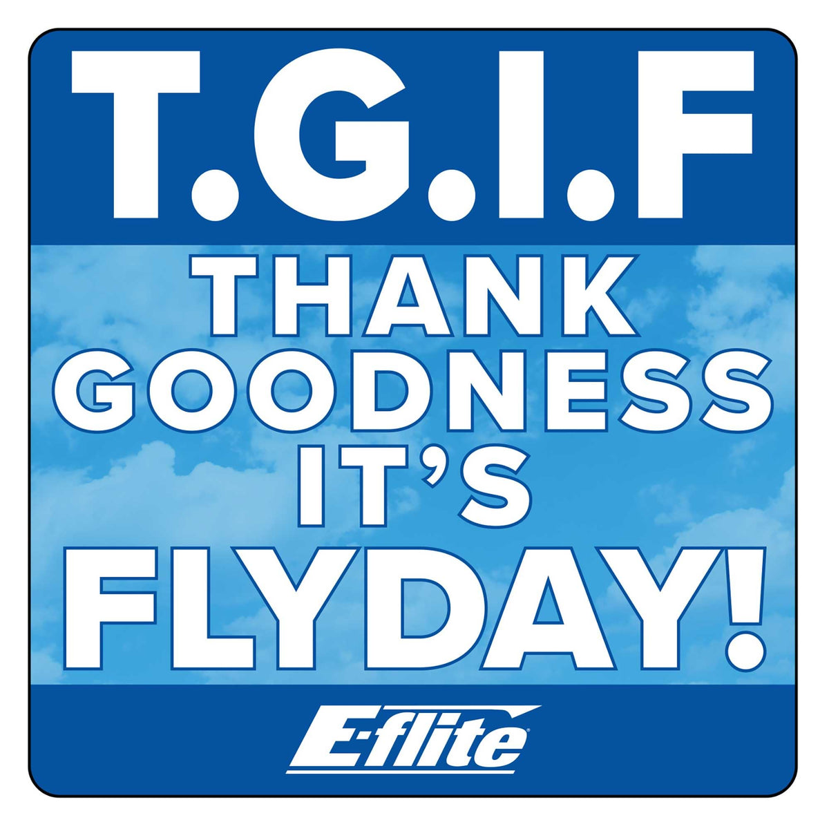 Horizon Hobby HHDSTK10 Eflite TGIF Sticker