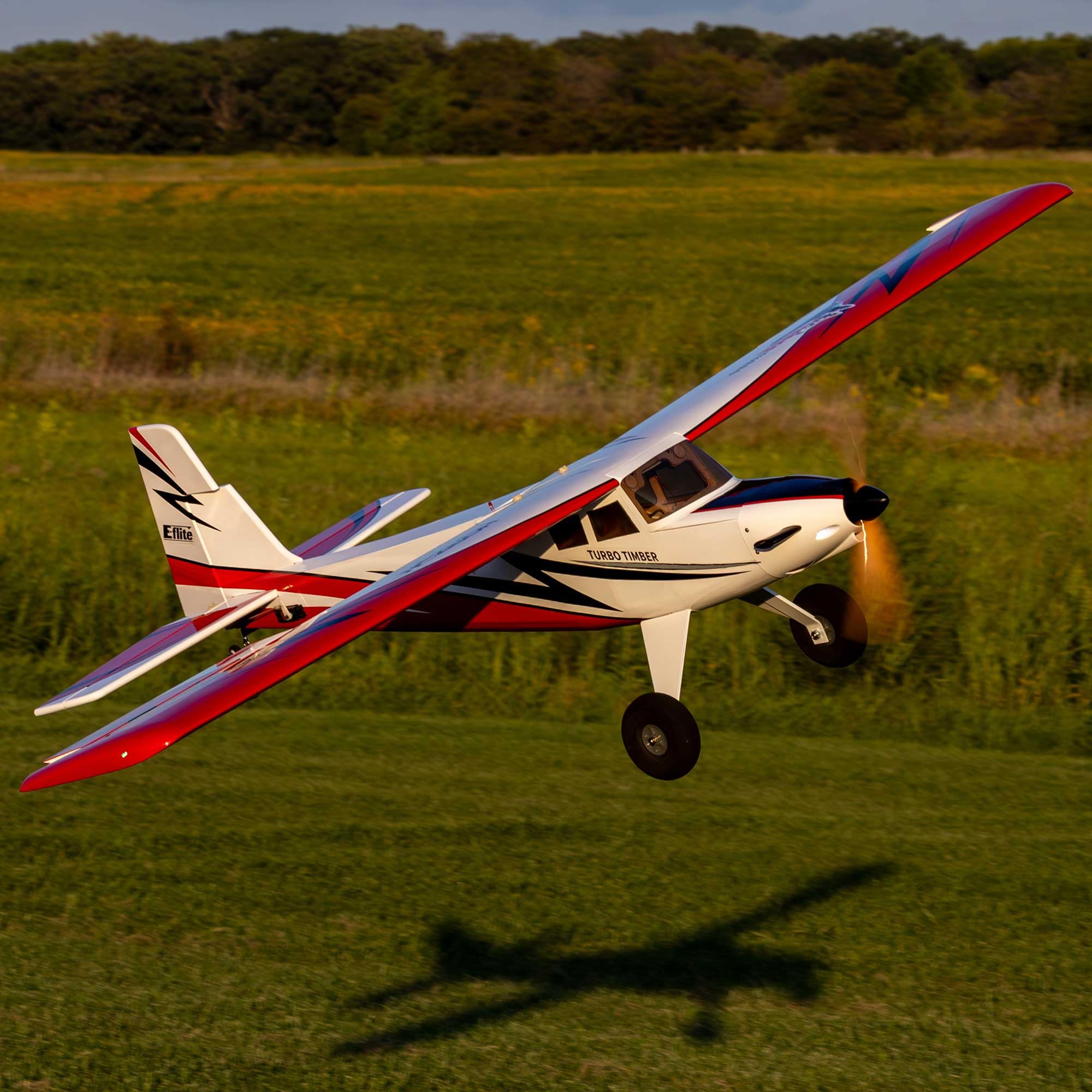 E-Flite EFL71765 Turbo Timber 2.0m SWS ARF