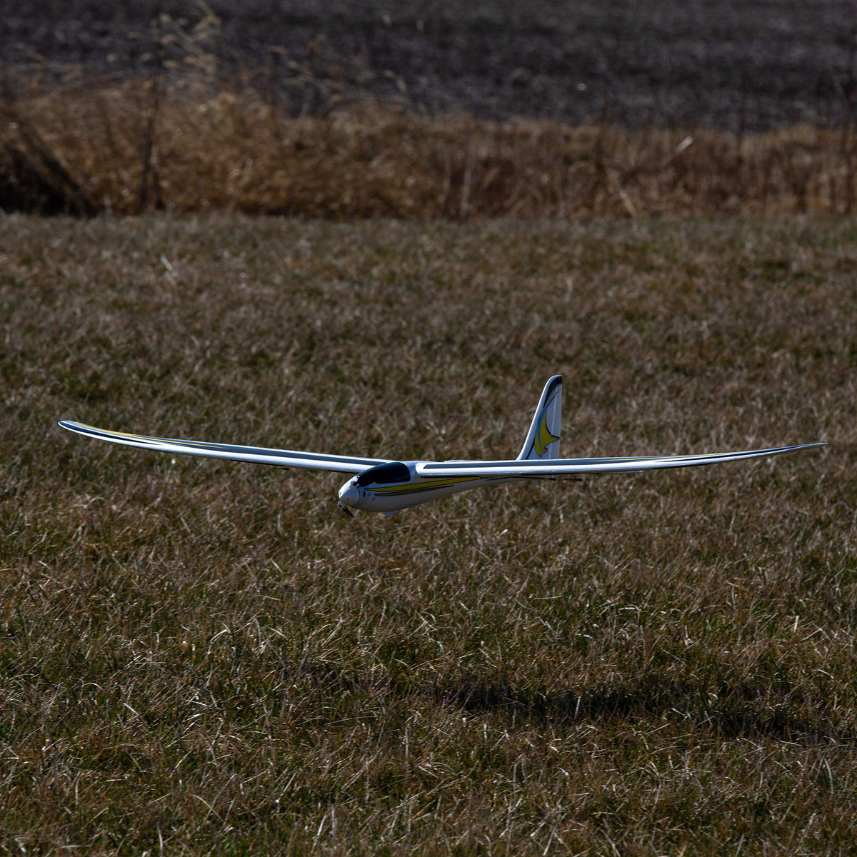 Conscendo Evolution 1.5m